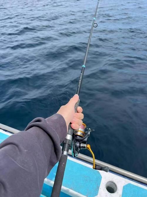 釣魚視頻海釣石斑魚_海釣魚視頻_釣魚視頻海釣視頻大全
