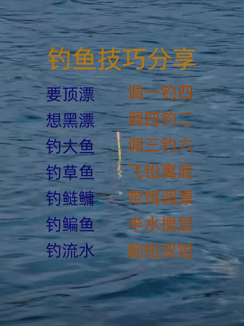 釣魚教學視頻超實用，選對并掌握要點快速學會釣魚技巧