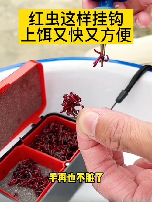 紅蟲怎么掛鉤_掛鉤紅蟲用中號還是大號_掛鉤紅蟲怎么養的