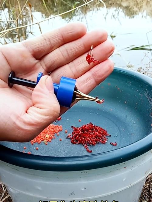 紅蟲怎么掛鉤_掛鉤紅蟲用中號還是大號_掛鉤紅蟲怎么養的