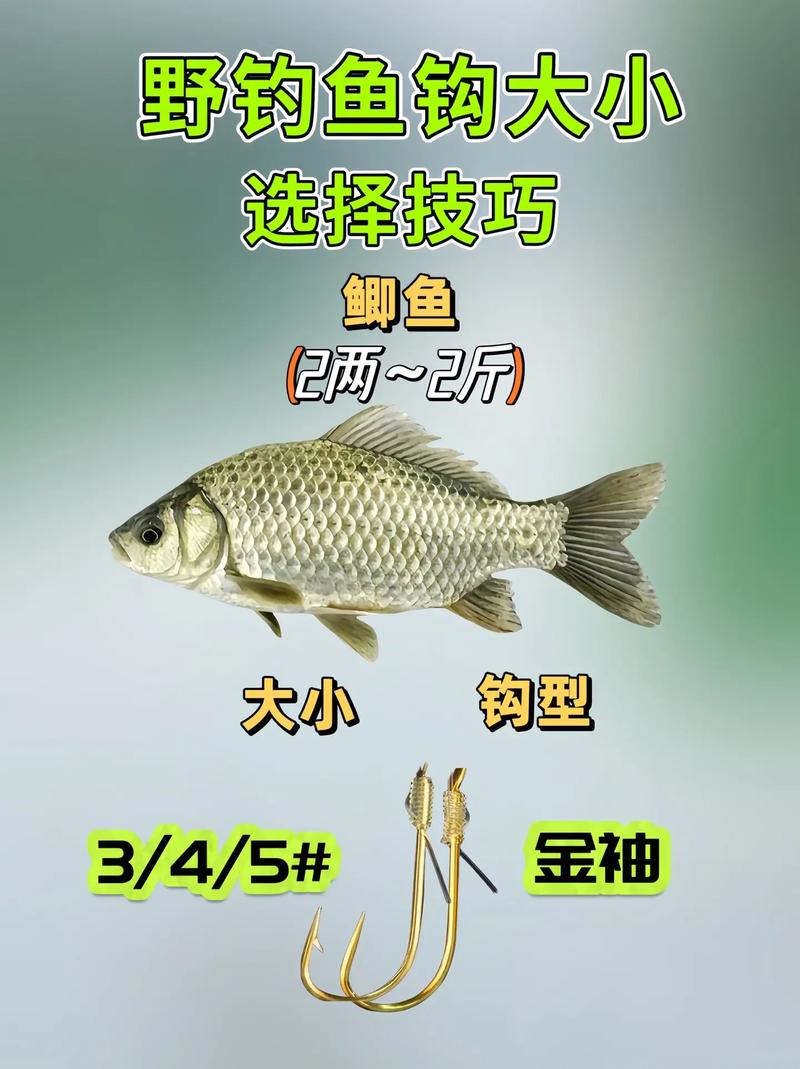 應用魚鉤選擇什么材質_應用魚鉤選擇什么型號_魚鉤的選擇與應用