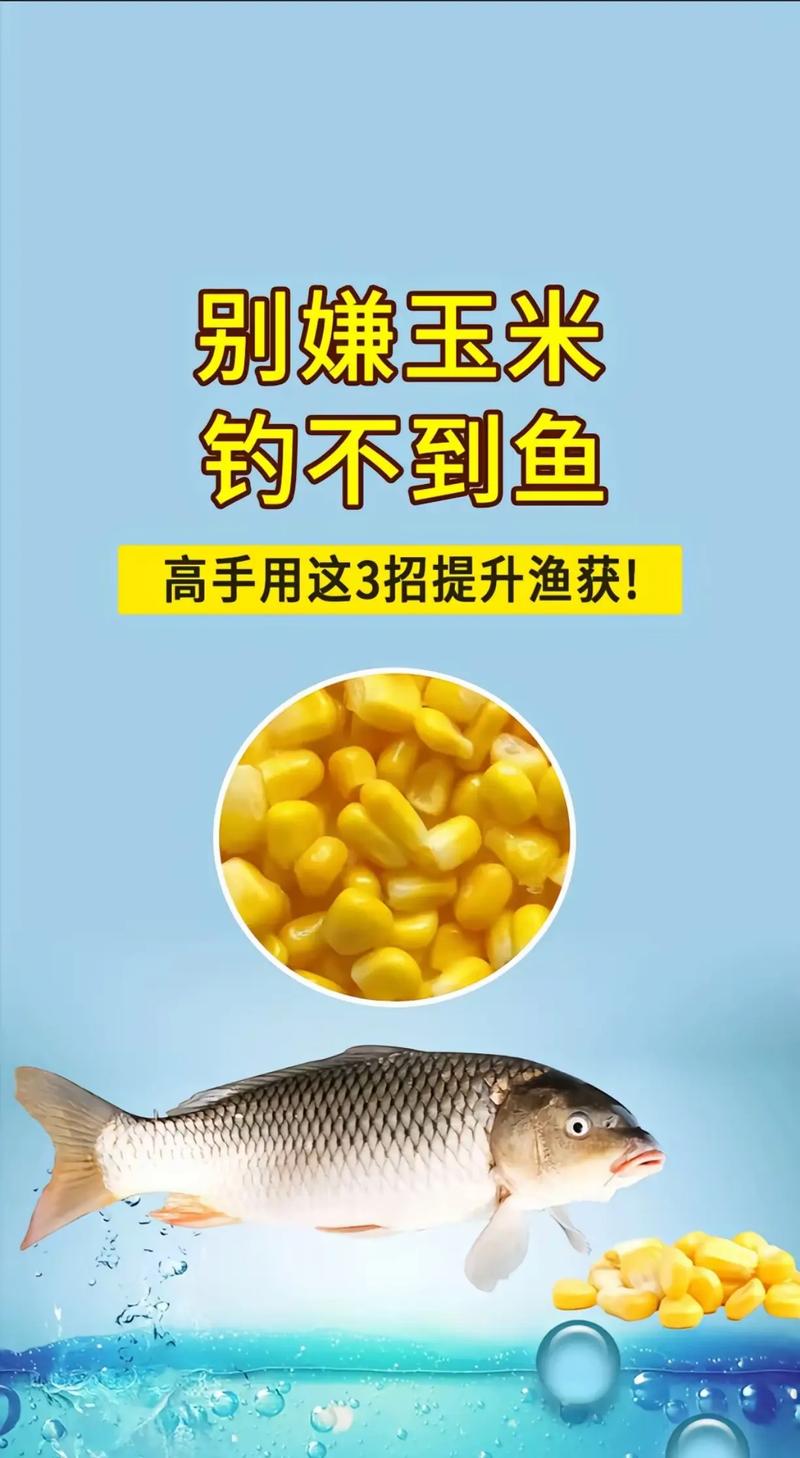 路亞釣草魚的關鍵：選對餌料，嫩玉米和蚱蜢效果佳