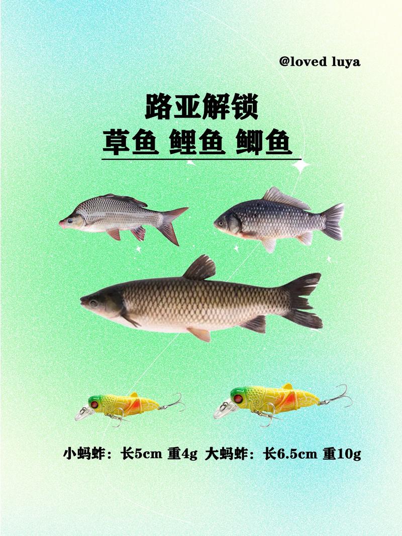 用路亞釣草魚用什么餌最好_路亞竿釣草魚用什么魚餌_釣草魚的路亞餌