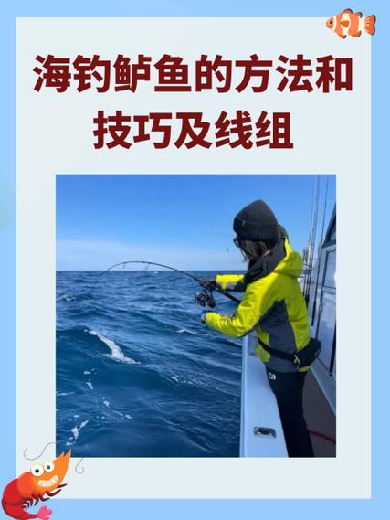 近海釣鱸魚教程視頻全集：涵蓋準備到釣魚全流程，多種教學類型助釣友學習