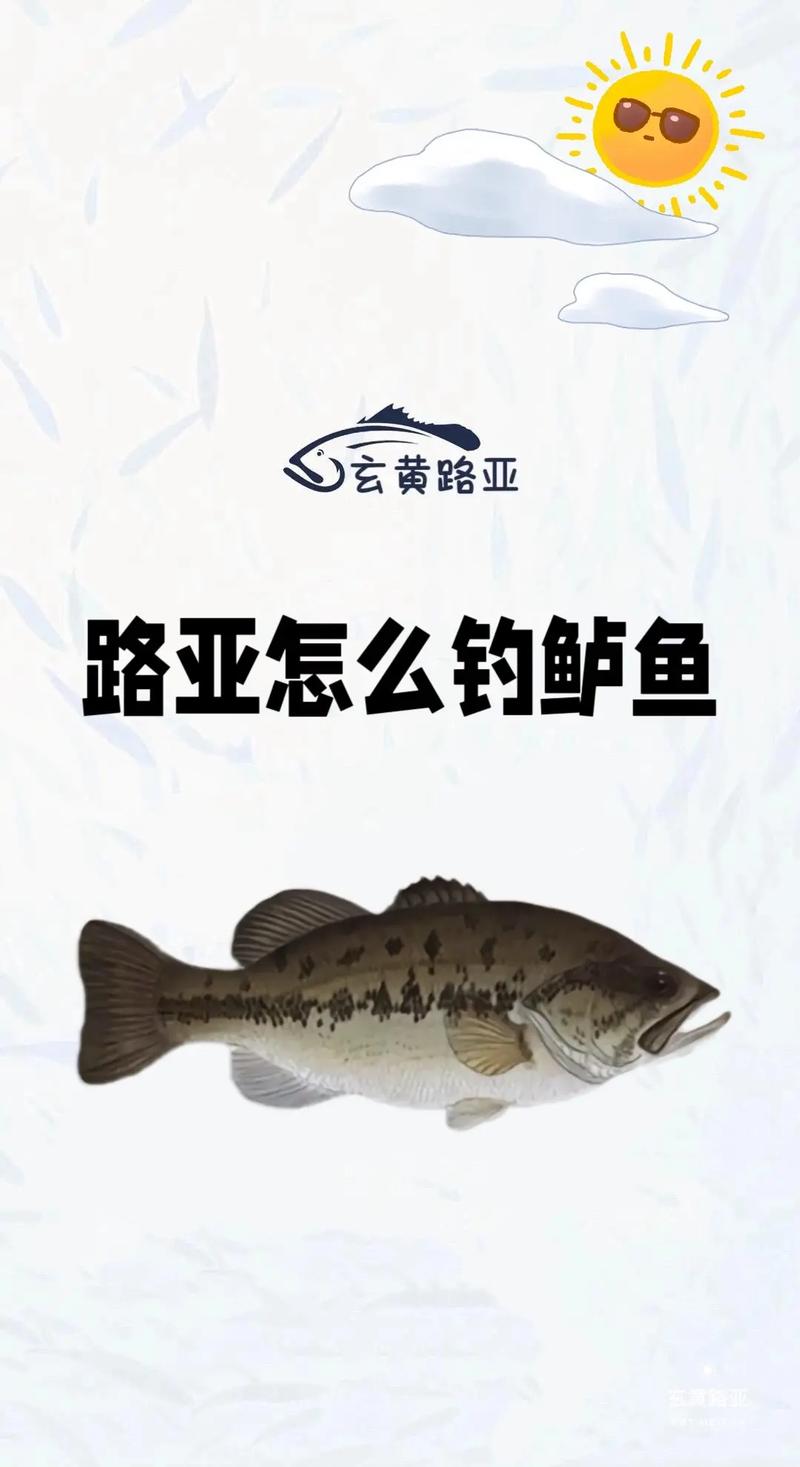 四海釣魚一海釣鱸魚_近海釣鱸魚釣什么水位_近海釣鱸魚教程視頻全集
