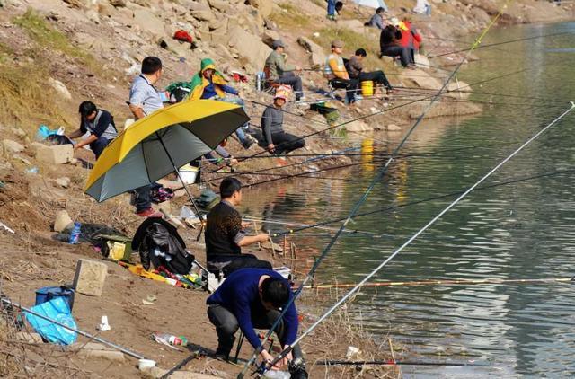 重慶長江釣魚地點_重慶長江釣魚新政策2021_重慶長江野釣地點推薦