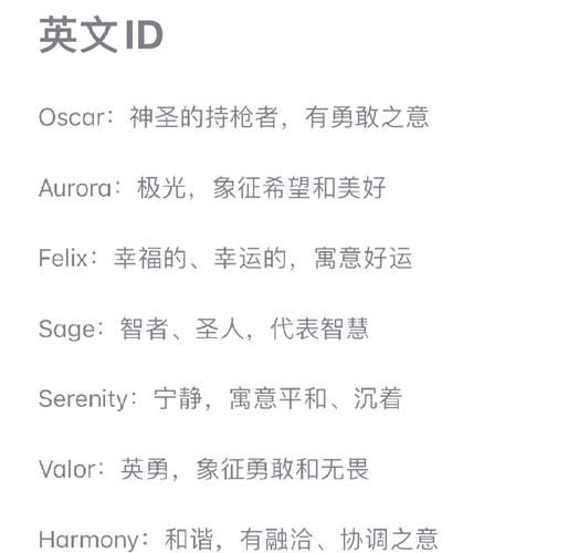 意思是雕刻的詞語_意思是電的字_dianes是什么意思