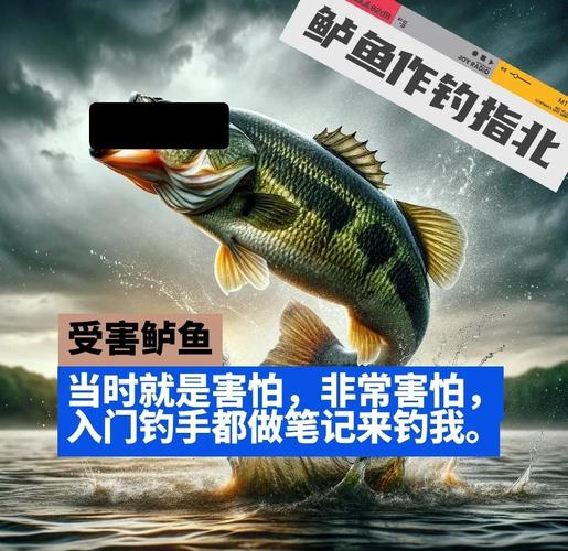 渤海釣鱸魚視頻_渤海灣釣鱸魚_渤海鱸魚
