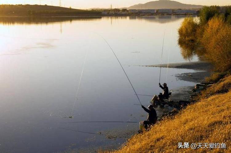 秋季釣魚技巧全攻略_釣魚秋季攻略技巧和方法_釣魚秋季攻略技巧圖解