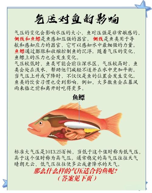 秋季釣魚技巧_釣魚人必看_釣魚秋季攻略技巧視頻_秋季釣魚技巧全攻略