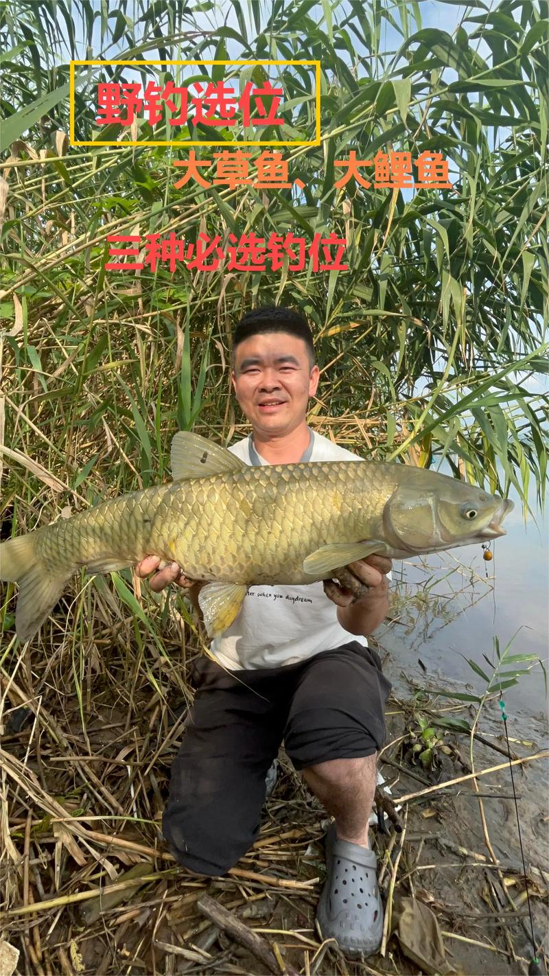 海桿釣鯉魚和草魚的方法及餌料選擇全解析