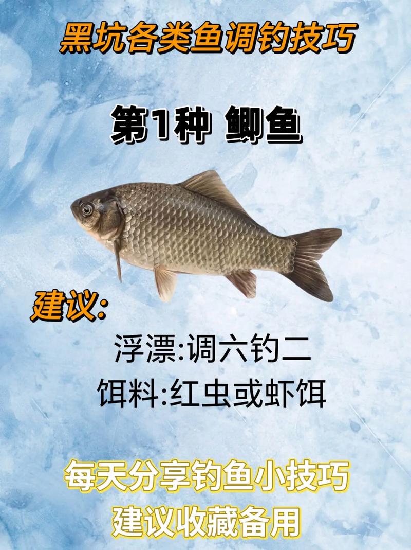 釣餌料草魚好用嗎_哪種餌料釣草魚好_釣草魚用什么餌料釣最好
