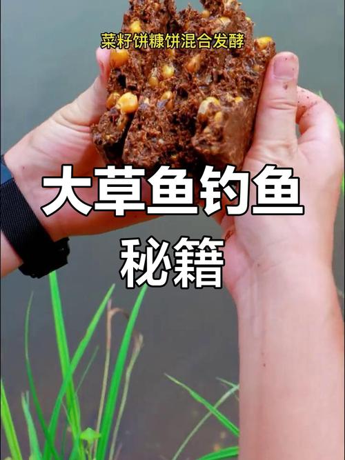 釣草魚的關鍵：挑選恰當餌料，推薦玉米與紅薯餌料技巧