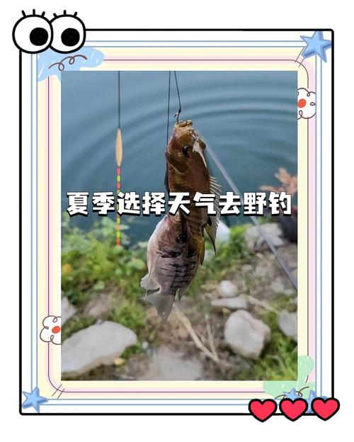 五一后北方迎夏日，魚情變化大，夏釣準備及時間選擇全攻略