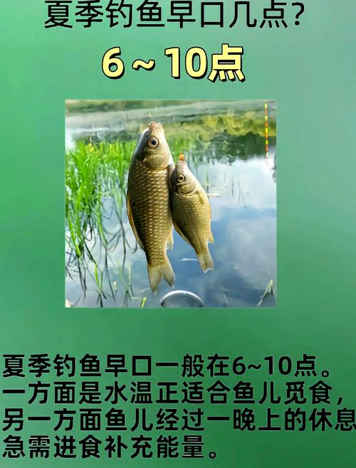 釣魚夏季技巧視頻_夏季釣魚技巧_夏季如何釣魚