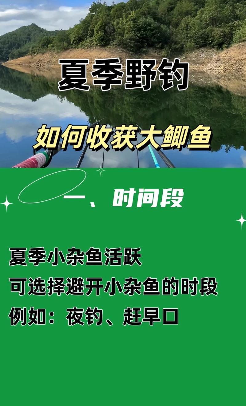 夏季野釣鯽魚技巧_夏季鯽魚怎么釣好釣_夏季鯽魚怎么釣釣鯽魚技巧