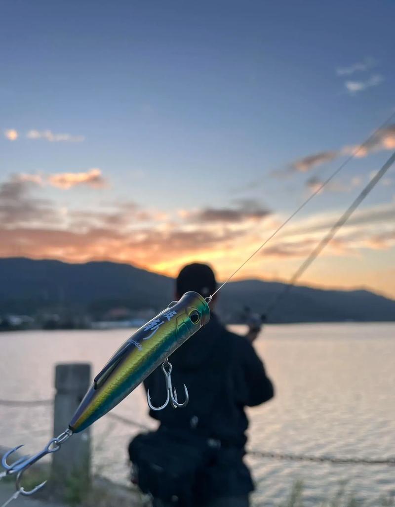三本受釣魚愛好者青睞的視頻：兼具教學娛樂與真實野外體驗