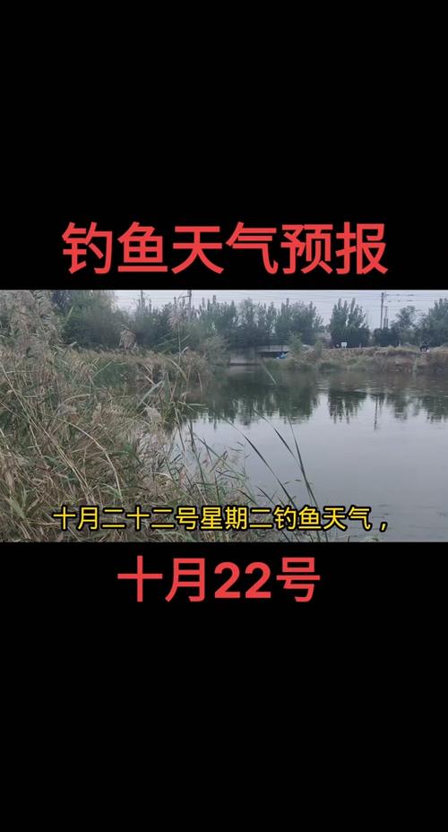 天氣預報15天查詢漳縣_成安漳河店天氣預報_漳河釣魚天氣_漳河氣壓預報_漳河天氣預報