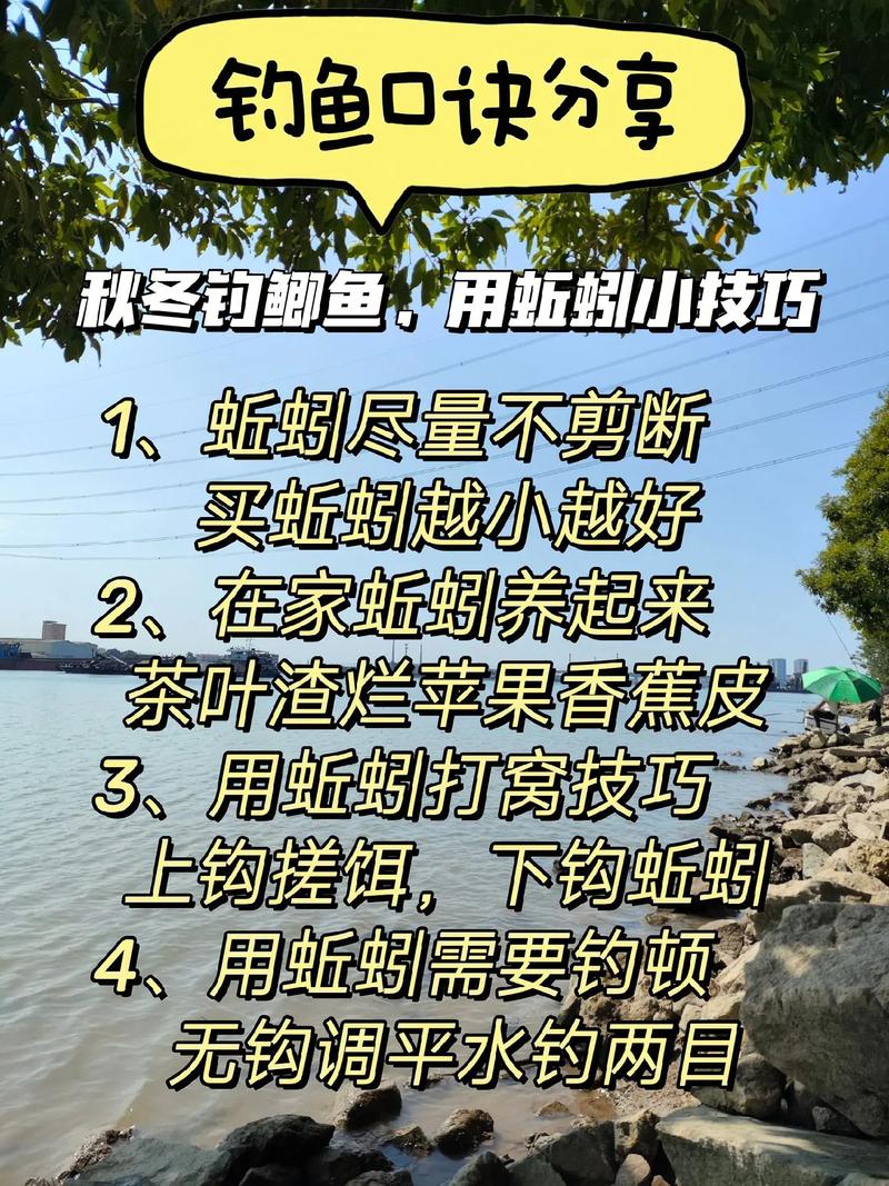 長竿短線釣鯽魚的技巧必看_長竿短線釣鯽魚技巧_深秋鯽魚釣位選擇