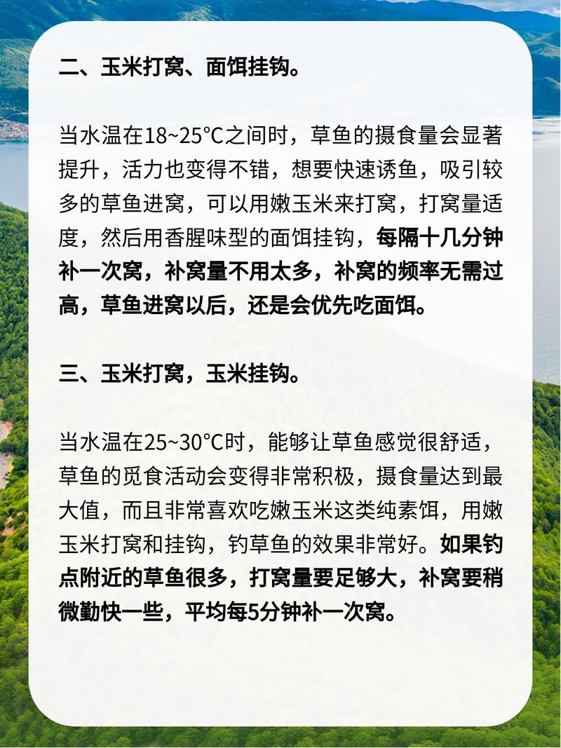 釣草魚的實用餌料做法大公開，含玉米和麥麩餌料制作步驟