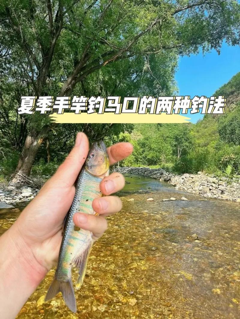 馬口魚手竿釣法_野釣手桿教程_馬口魚浮釣技巧