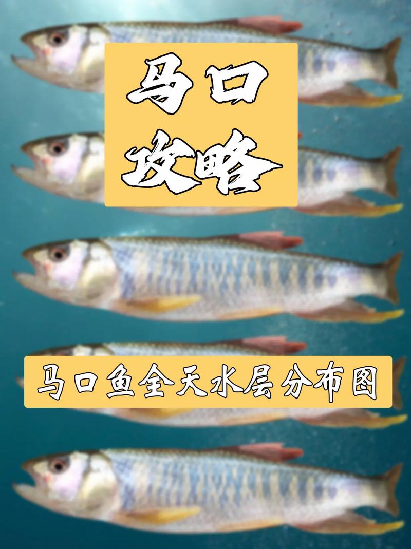 野釣手桿教程_馬口魚手竿釣法_馬口魚浮釣技巧