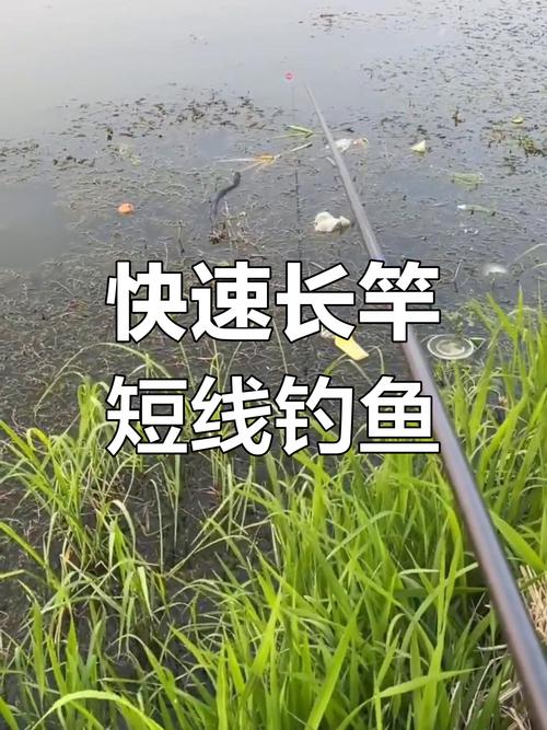 長竿短線釣法 選點技巧_長竿短線釣法 打窩方法_長竿短線釣魚的一些技巧