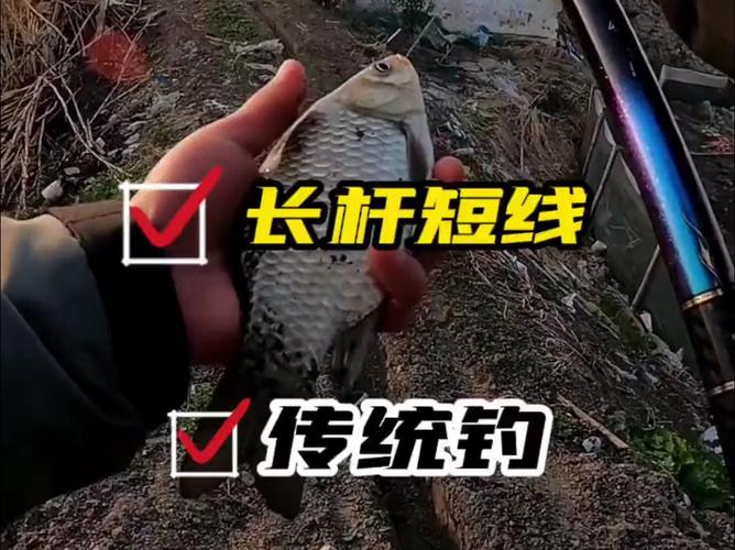 短竿長線釣魚技巧_短竿長線釣大魚策略_長竿短線釣魚狀態分析必看