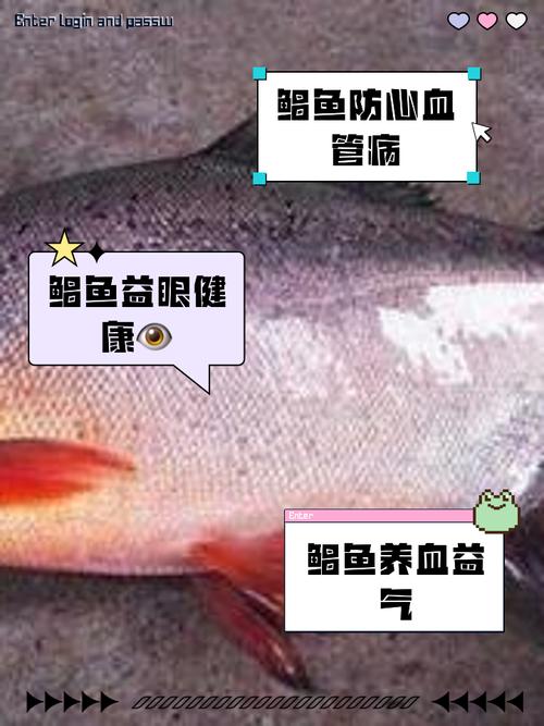 紅鯧魚怎么釣_紅鯧魚營養價值_紅鯧魚清蒸做法