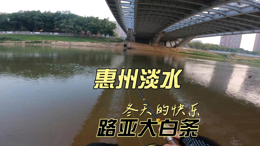 惠州惠陽區免費釣場