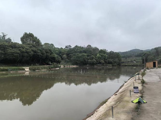 惠陽哪里可以免費釣魚淡水_惠州惠陽野釣地方_惠州惠陽區免費釣場
