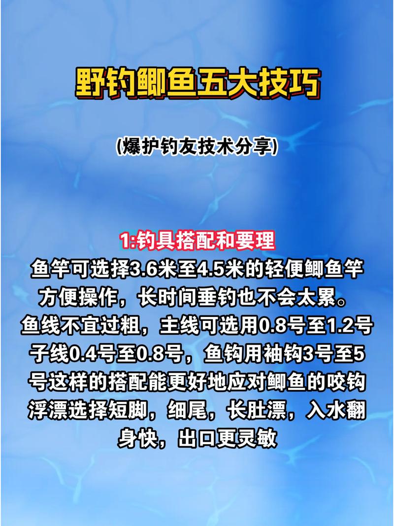 視頻垂釣鯽魚怎么做_鯽魚垂釣視頻_釣鯽魚視頻野釣實戰