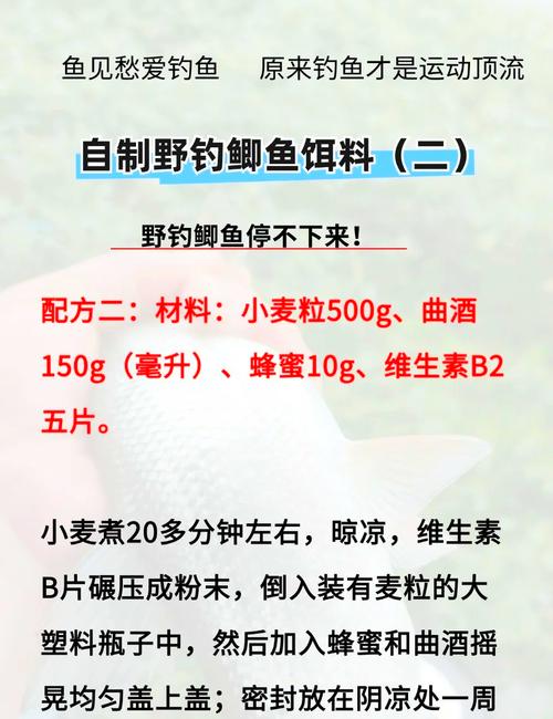 釣鯽魚餌料配方_野釣鯽魚配方大全_鯽魚餌料搭配技巧