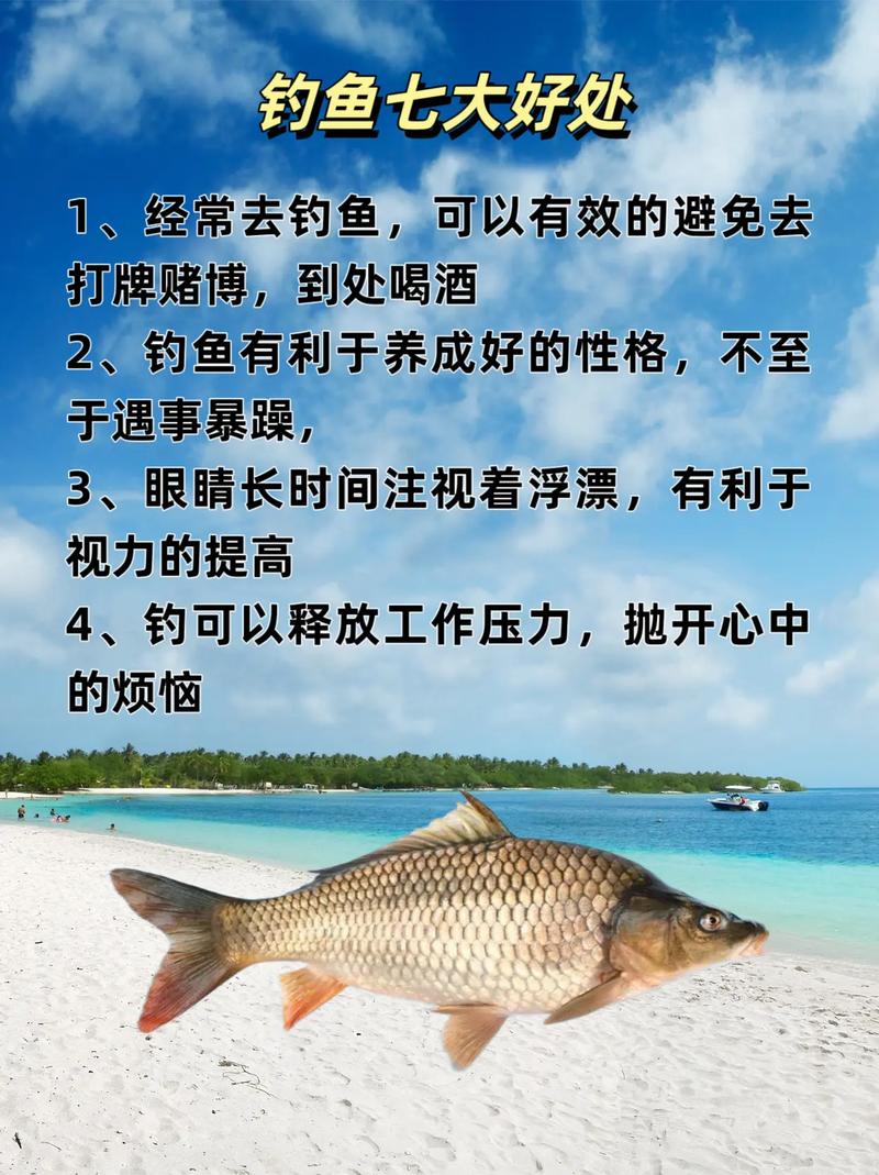 網絡釣魚視頻受歡迎，內容豐富多樣且教學意義顯著