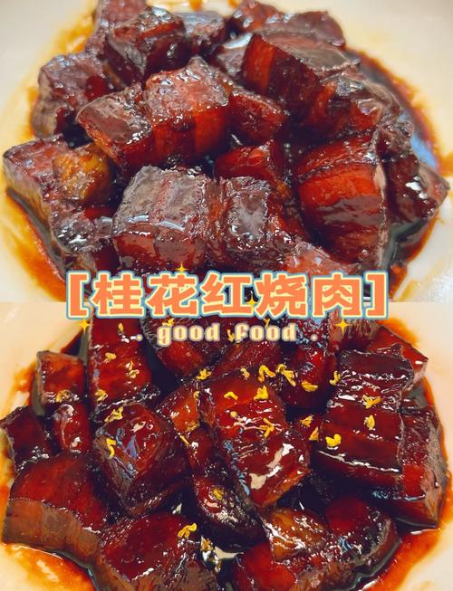 紅燒魚塊的家常做法大全_紅燒排骨家常做法_紅燒肉做法
