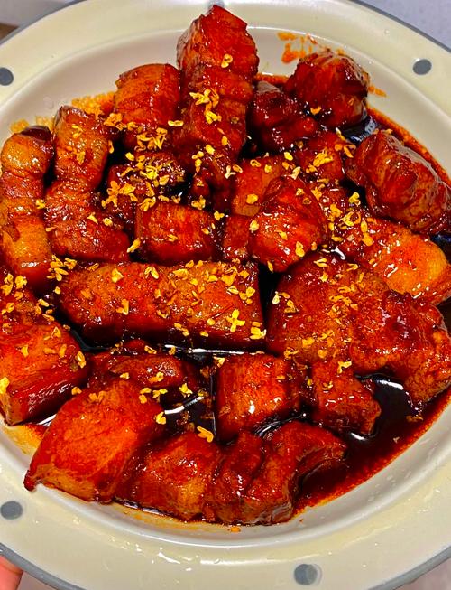 紅燒排骨家常做法_紅燒肉做法_紅燒魚塊的家常做法大全