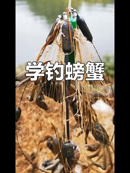 螃蟹_釣螃蟹的方法_螃蟹這么釣_螃蟹怎么釣釣螃蟹視頻