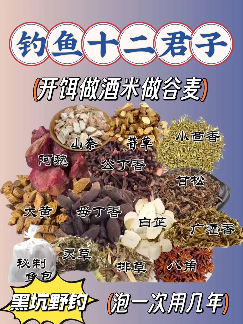 中藥釣魚配方_阿魏釣魚最簡單的配方_自制釣魚餌料