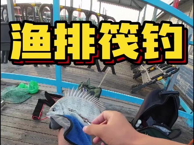 筏釣黑鯛釣點選擇_筏釣黑鯛技巧_筏釣黑鯛魚的另類釣法及釣點的選擇