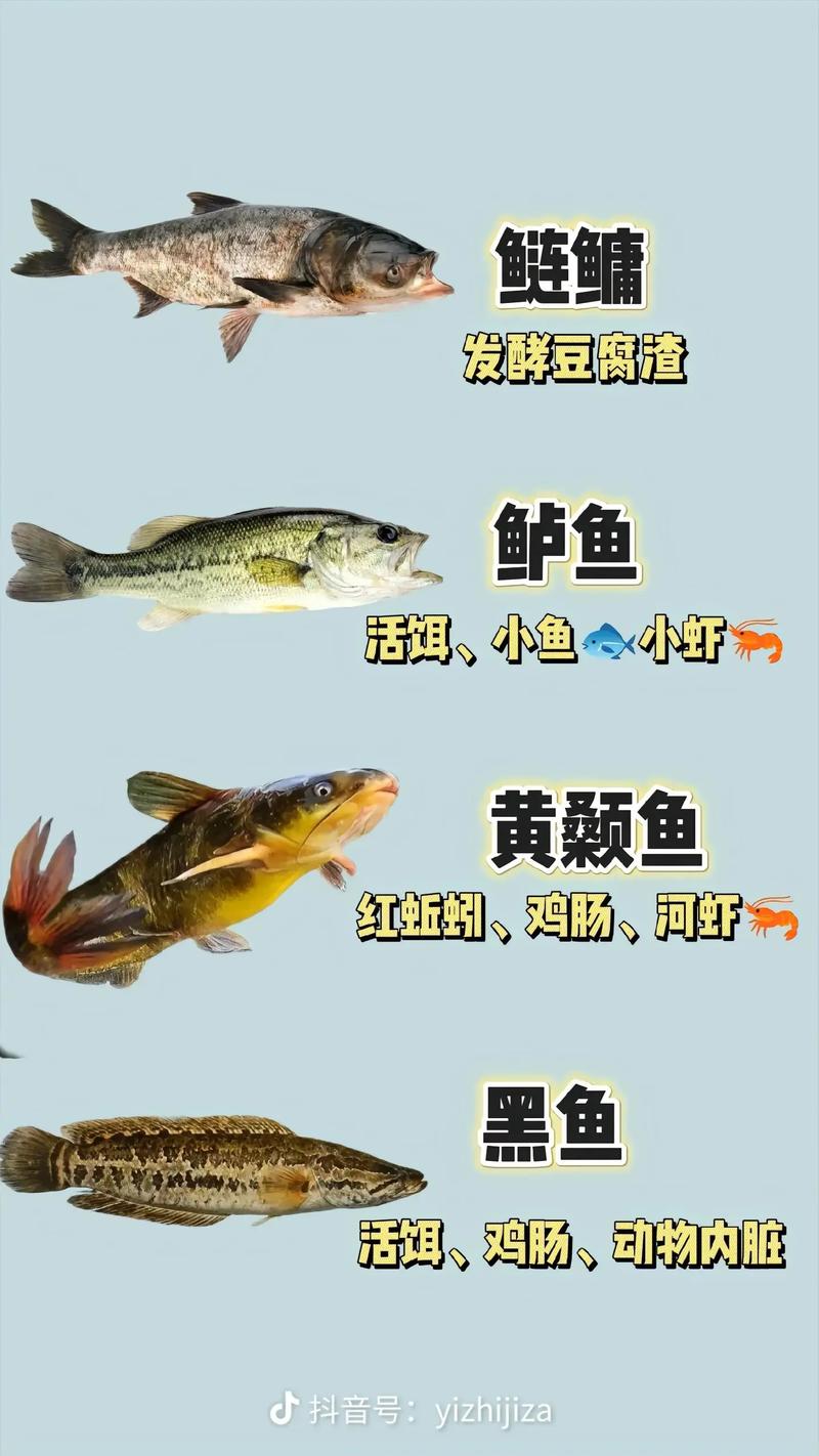 四海釣魚視頻大全_釣魚頻道四海釣魚視頻_釣魚視頻四海大全高清