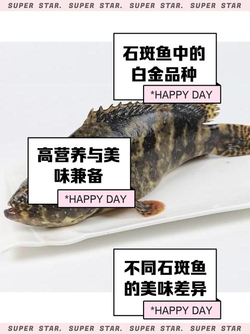 石斑魚多少錢一斤2024_金錢石斑魚做法_石斑魚塊