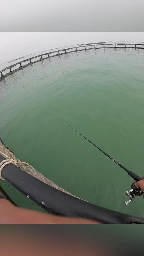 筏釣黑鯛魚的另類釣法及釣點的選擇