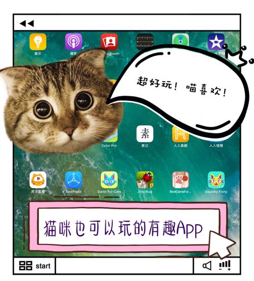 諾基亞5230游戲小貓釣魚_S60第五版手機評測_諾基亞5230評測