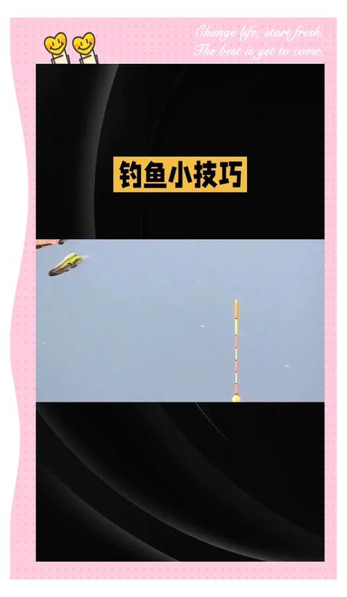 實戰干貨_釣魚技巧_釣魚視頻大全