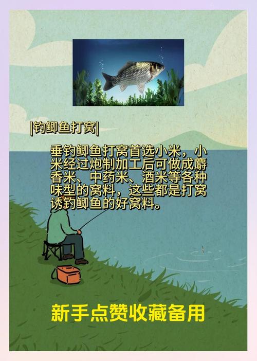 釣魚夏季打窩_臺釣打窩投喂量控制_臺釣打窩技巧