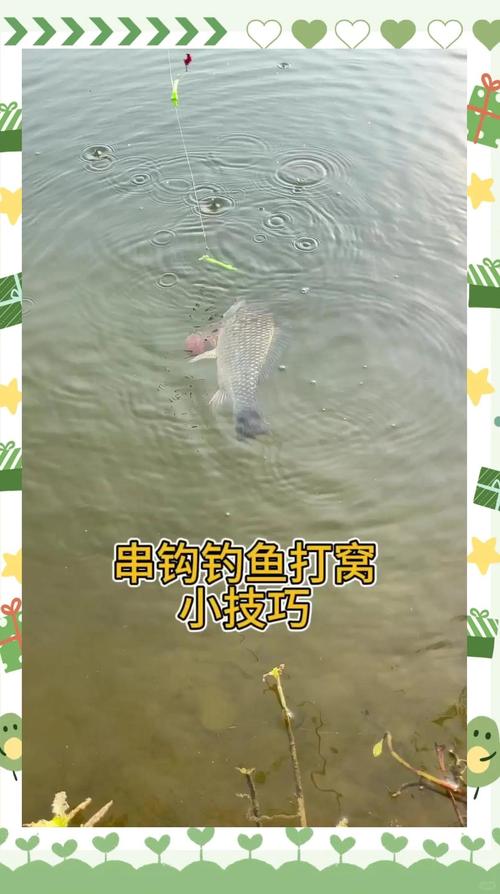 _ 海竿串鉤釣鯽魚技巧 _拋竿用串釣怎樣釣鯽魚