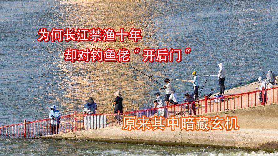 長江流域禁漁十年釣魚人何去何從?_長江禁漁十年禁漁期關于釣魚_長江十年禁漁釣魚