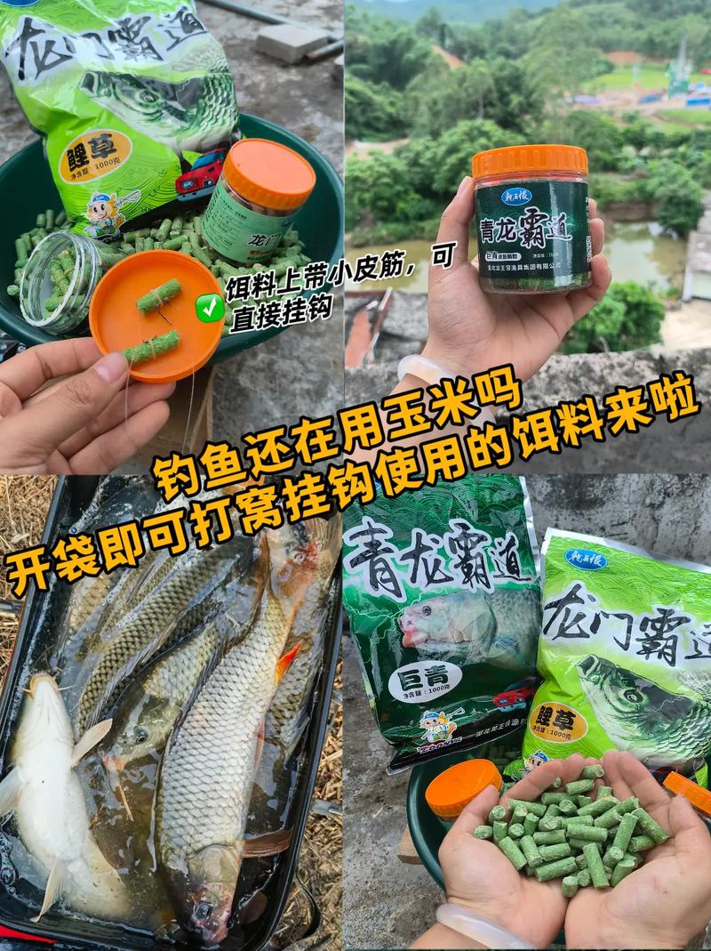 自制草魚餌_自制鯉魚餌配方_野釣怎么自制魚餌