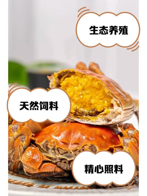 螃蟹的種類圖片大全_陽澄湖大閘蟹價格_陽澄湖蟹王價格