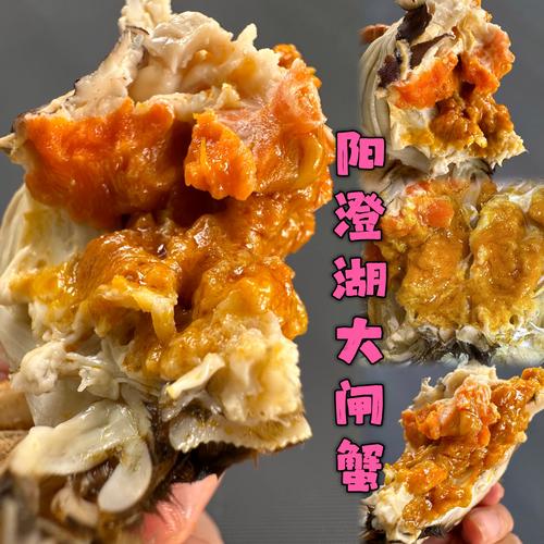 陽澄湖大閘蟹價格_陽澄湖蟹王價格_螃蟹的種類圖片大全